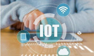 物聯(lián)網(wǎng) 無處不在的智能連接與人工智能集成的行業(yè)應用