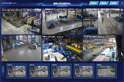 特色黨建品牌展播 | 人工智能黨支部 數智引領 共創(chuàng)未來 安全系統(tǒng)監(jiān)控服務